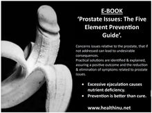 Load image into Gallery viewer, Prostate Health (e-book): The Five Element Prevention Guide
